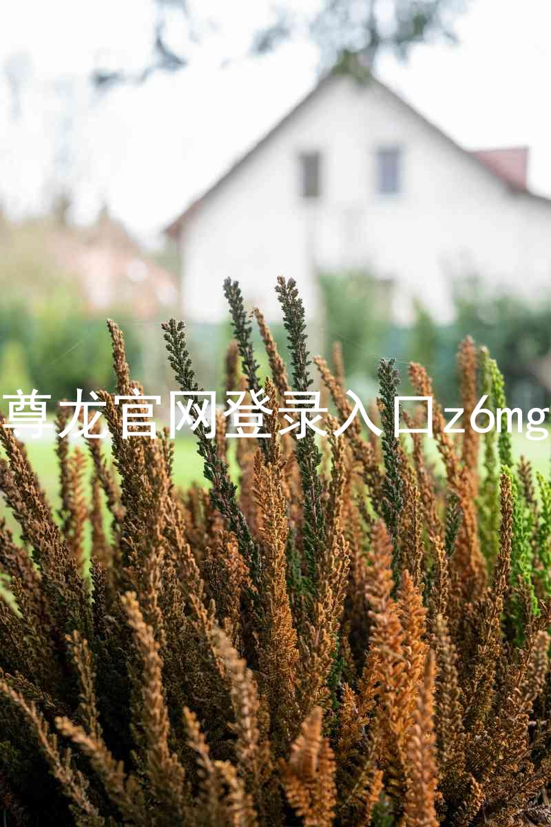 尊龙官网登录入口z6mg