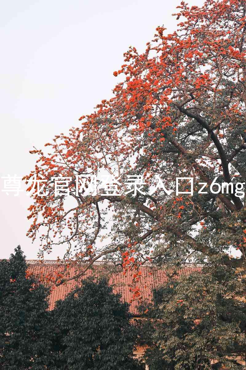 尊龙官网登录入口z6mg