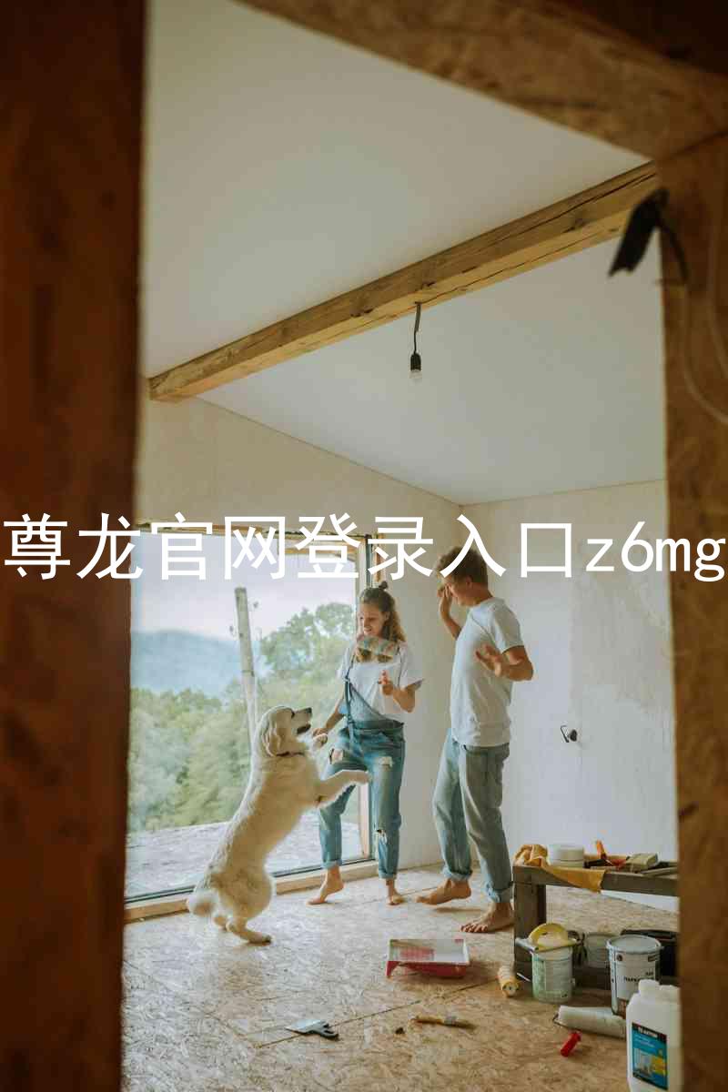 尊龙官网登录入口z6mg